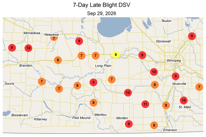 dsv